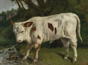 Le Veau Blanc by Gustave Courbet Oil Painting