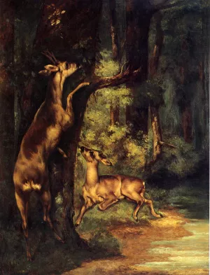 Male and Female Deer in the Woods painting by Gustave Courbet