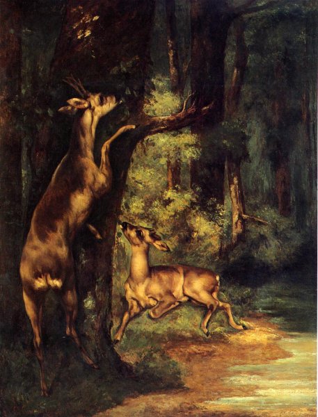 Male and Female Deer in the Woods by Gustave Courbet - Hand-Painted Oil Painting Reproduction
