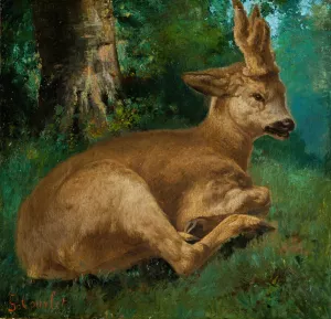 Roebuck by Gustave Courbet Oil Painting