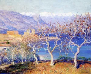 Fig Trees, Antibes by Guy Orlando Rose Oil Painting
