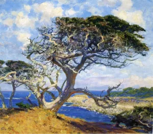 Monterey Cypress Oil painting by Guy Orlando Rose