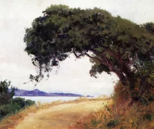 Point Lobos, Oak Tree by Guy Orlando Rose Oil Painting