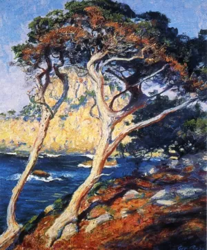 Point Lobos Trees Oil painting by Guy Orlando Rose