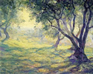 Provincial Olive Grove Oil painting by Guy Orlando Rose