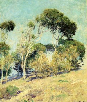 Windswept Trees, Laguna