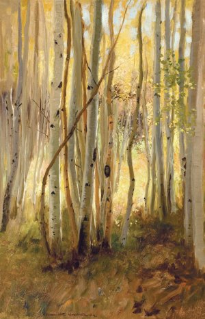 Sunlit Birch Forest by Hamilton Hamilton Oil Painting