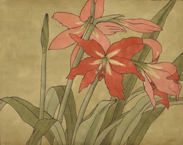 Main Product Photo of Amaryllis  Painting by Hannah Borger Overbeck