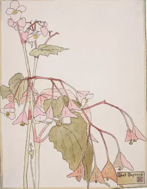 Beef Begonia by Hannah Borger Overbeck Oil Painting