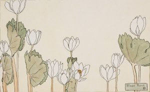 Blood Root by Hannah Borger Overbeck Oil Painting