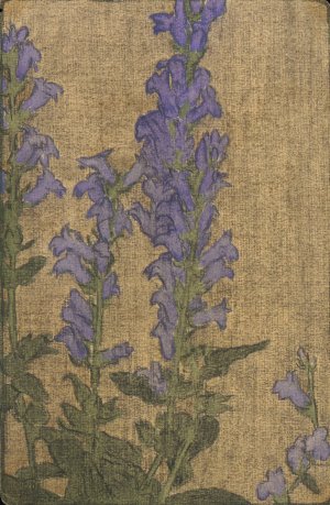 Delphinium by Hannah Borger Overbeck Oil Painting