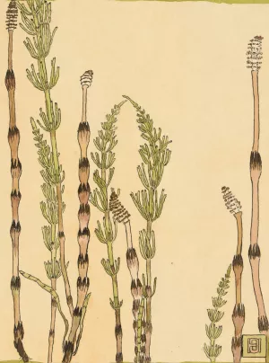 Horsetail by Hannah Borger Overbeck Oil Painting