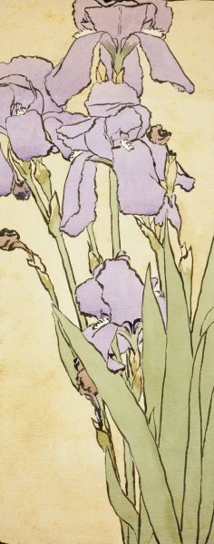 Iris by Hannah Borger Overbeck Oil Painting
