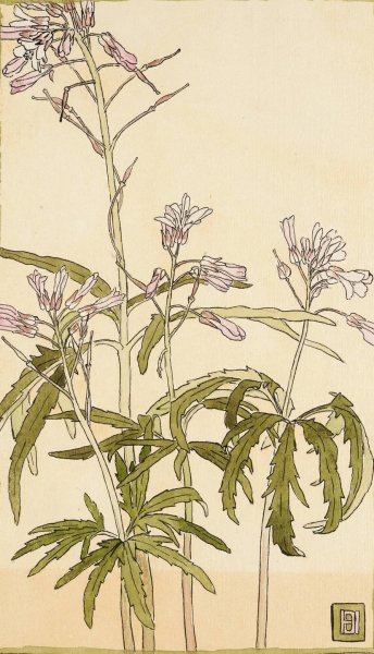 Main Product Photo of Pink Flowers with Spiky Green Leaves  Painting by Hannah Borger Overbeck