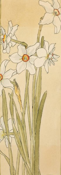 Poet's Narcissus by Hannah Borger Overbeck Oil Painting