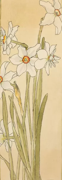 Poet's Narcissus by Hannah Borger Overbeck Oil Painting