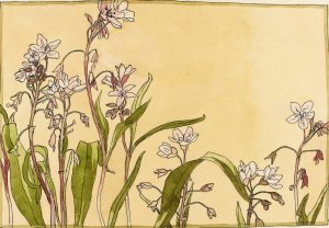 Spring Beauty by Hannah Borger Overbeck Oil Painting
