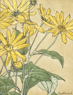 Sunflowers by Hannah Borger Overbeck Oil Painting