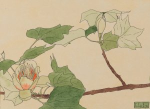 Tulip Tree by Hannah Borger Overbeck Oil Painting