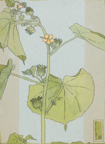 Main Product Photo of Velvet Weed  Painting by Hannah Borger Overbeck
