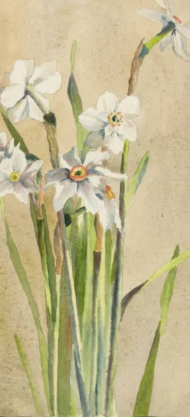 White Narcissus with Gray Accents by Hannah Borger Overbeck Oil Painting