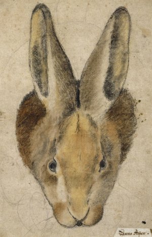 Hase von vorn by Hans Asper Oil Painting