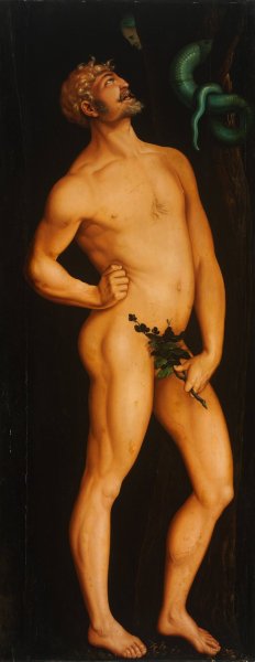 Adam by Hans Baldung Oil Painting