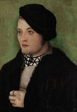 Portrait of a young man by Hans Baldung Oil Painting