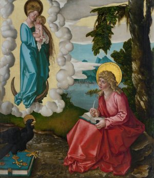 Saint John on Patmos by Hans Baldung Oil Painting