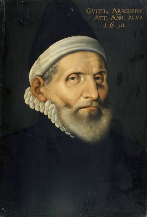 Portrait of the Professor of Medicine Wilhelm Aragosius from Toulouse by Hans Bock The Elder Oil Painting