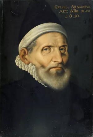 Portrait of the Professor of Medicine Wilhelm Aragosius from Toulouse by Hans Bock The Elder Portrait of the Professor of Medicine Wilhelm Aragosius from Toulouse by Hans Bock The Elder Oil Painting