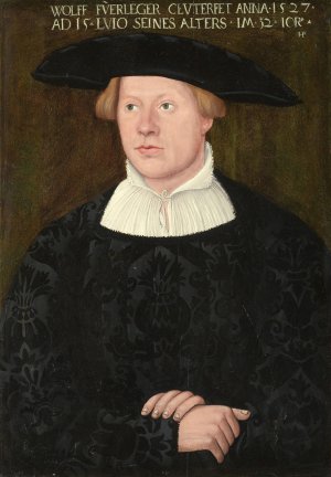 Portrait of Wolff Fuerleger by Hans Brosamer Oil Painting