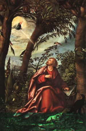 St. John at Patmos Oil painting by Hans Burgkmair