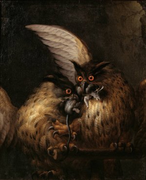 Two Owls Fighting over a Rat by Hans Georg Muller Oil Painting