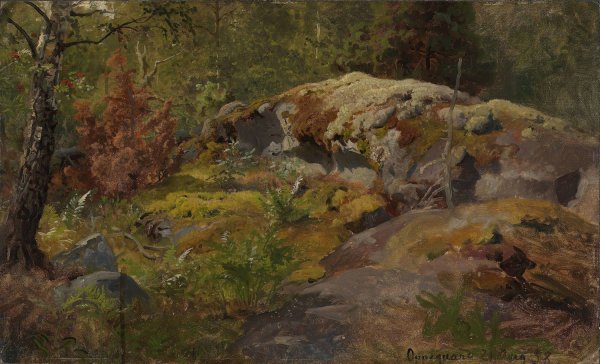Main Product Photo of Forest Floor  Painting by Hans Gude