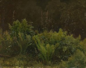 Study of Ferns by Hans Gude Oil Painting