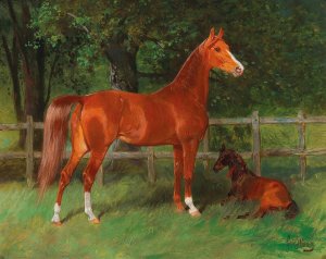 Chestnut with Foal in the Meadow by Hans Haag Oil Painting
