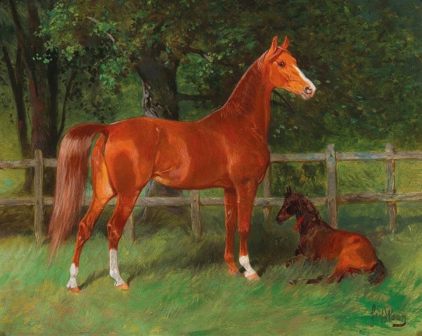 Chestnut with Foal in the Meadow by Hans Haag - Hand-Painted Oil Painting Reproduction