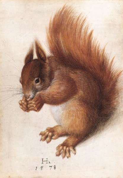 Main Product Photo of Squirrel Painting by Hans Hoffmann