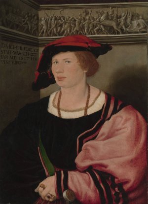 Benedikt von Hertenstein by Hans Holbein The Younger Oil Painting