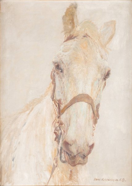 Main Product Photo of White horse  Painting by Hans Kohlschein