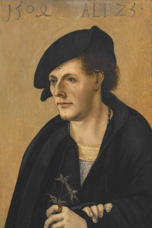 Portrait of a Young Man Hans by Hans Leonhard Schaufelein Oil Painting