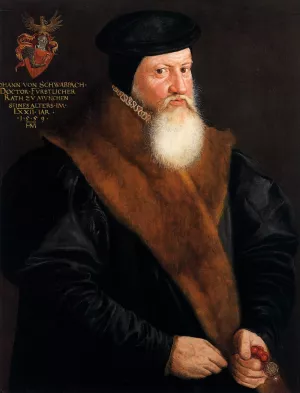 Portrait of Doctor Johann von Schwabbach by Hans Mielich - Oil Painting Reproduction