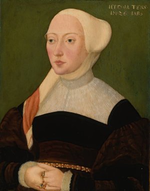 Portrait Of A Woman by Hans Schopfer The Elder Oil Painting