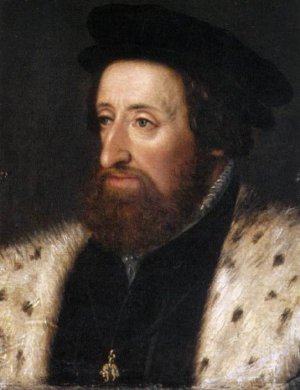 Emperor Ferdinand I by Hans The Elder Bocksberger Oil Painting
