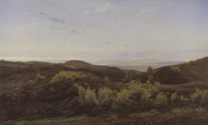Heather Hills near Rye, Jutland by Harald Foss Oil Painting