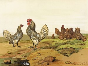 Gold and Silver-laced Bantams by Harrison Weir Oil Painting