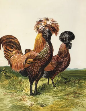 Golden-Spangled Polish by Harrison Weir Oil Painting