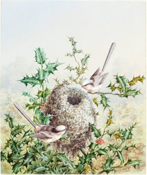 Coral Buntings and Their Nest in a Holly Tree by Harry Bright Oil Painting