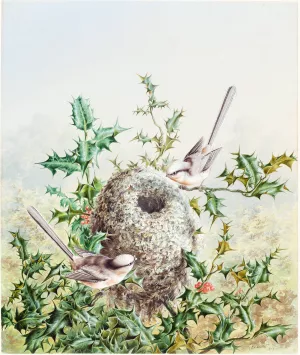 Coral Buntings and Their Nest in a Holly Tree by Harry Bright Oil Painting